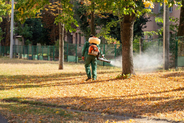 Best Residential Pest Control  in Muscoda, WI