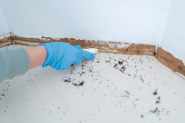 Best Exterminator Services  in Muscoda, WI